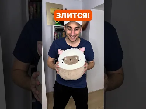 Мэд докопался до котика #рекомендации #юмор #прикол