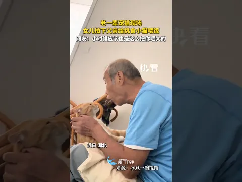 【大陸】「哄孩子」！湖北一老人懷中餵挑食小貓