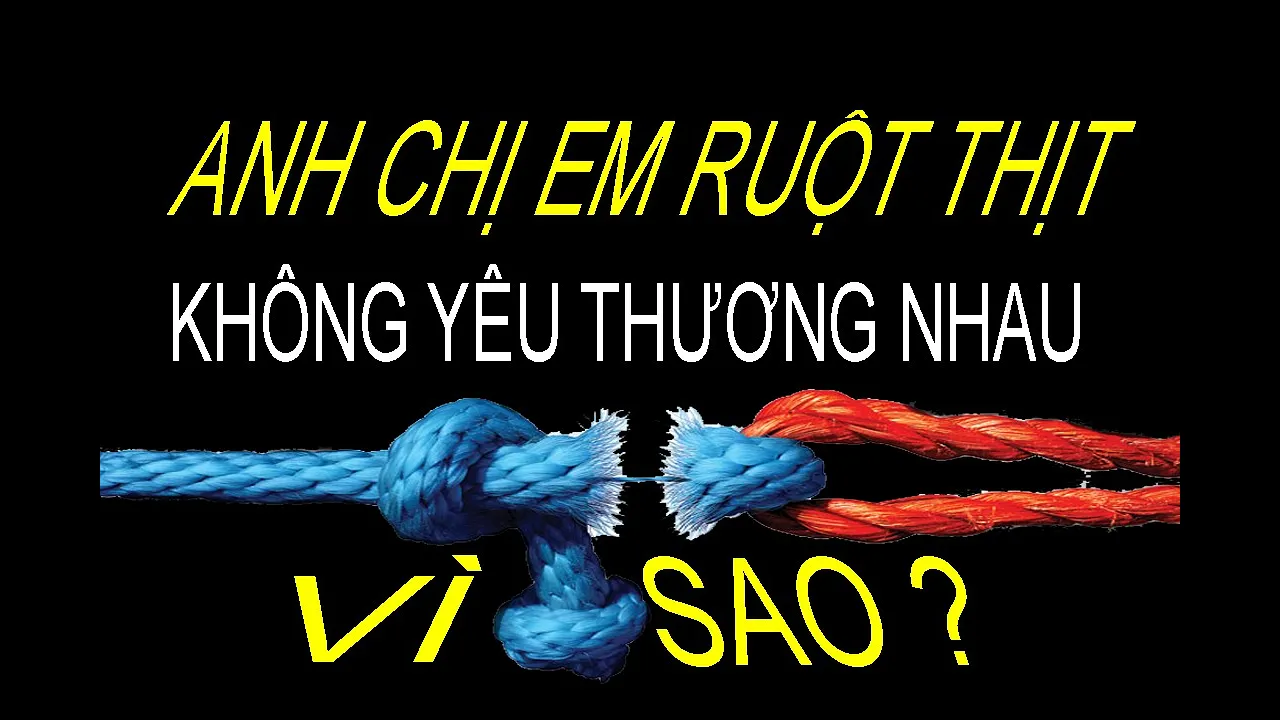 Outline Video ANH CHỊ EM RUỘT THỊT... Không yêu thương nhau. Vì sao ?