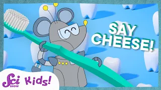 All About Teeth SciShow Kids Compilation