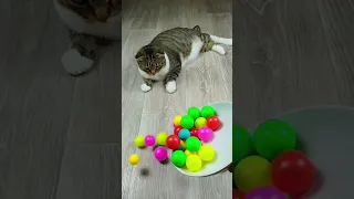 Cat Barsik Beads 🌈🍎🍓 Collection Reverse video