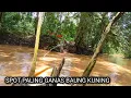 Lagu MANCING IKAN BAUNG TERGANASS  DI AIR KERUH ❗❗ JORAN KU SAMPAI MELENGKUNG