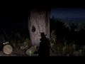 Red Dead Redemption 2 Chick s TREASURE Map