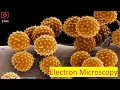 Electron Microscopy Explained in 9 Minutes