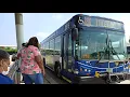 Ride On Pace Bus 2009 ElDorado National EZ-Rider II MAX 2815 On Rt 386 to Devry University Part 1