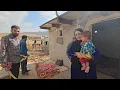 From Homelessness to Building a Mountain Home | Pregnant Fatemeh’s Struggle for Shelter