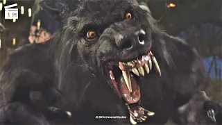 van helsing werewolf vs dracula