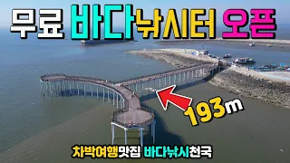 화성 궁평항 캠핑카 차박 여행 무료 낚시 천국, 새단장 피싱피어 193m 오픈, 방파제 바다 낚시 낙조길, 갯벌체험, 싱싱한 수산시장. 캠핑카 여행 차박노지 탐방. 썸네일