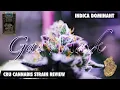 CRU CANNABIS STRAIN REVIEW GAS MASK
