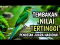 Download Lagu TERAPI UNTUK SEMUA JENIS BURUNG , SUARA GEMRICIK AIR , MASTERAN TERMEWAH FULL TEMBAKAN || SINGO EDAN