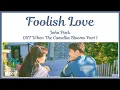 Download Lagu John Park (존박) - Foolish Love (이상한 사람) OST When The Camellia Blooms Part 1 | Lyrics
