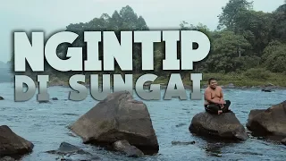 ngintip di sungai
