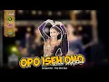 Download Lagu Rina Aditama - Opo Iseh Ono (Official Music Live)