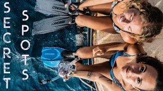 TOP 10 Most AMAZING DIVE SITES In the South Pacific! 🌊🦈 (Expedition Drenched Bonus)