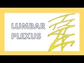 Lumbar plexus review song
