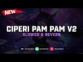 Download Lagu DJ Ciperi Pam Pam V2 ( Slowed \u0026 Reverb ) 🎧