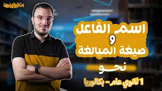 شرح اسم الفاعل وصيغ المبالغة وإعمالهما نحو أولى ثانوي عام بكالوريا 2026 