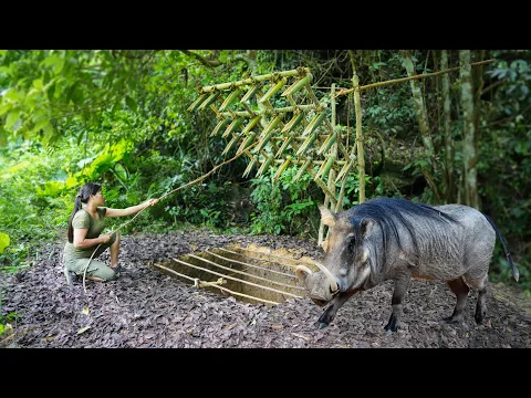 Download MP3 Giant Wild Boar Trap - The Power to Survive Spectacularly/ Multi-day Survival Trip, Part 3