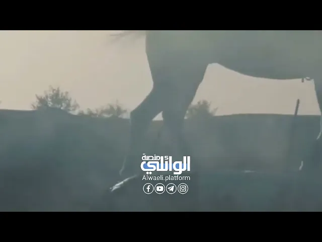 السهم المثلث الذي أصاب الامام الحسين (ع) | د احمد الوائلي