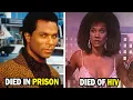Lagu Miami Vice 1984 Cast Then and Now 2025 How They Changed