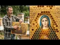 Lagu MIRACLE: Bees Build Honeycombs on Everything EXCEPT the Virgin Mary's Face