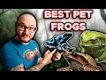 Top 5 Pet Frogs You ve Never Heard Of