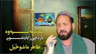 Download Zahir Mashokhel Pashto New Songs Rabab Mangi MP3