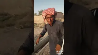 شبت بضلوعي نار 