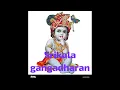 Lagu Vihara manasa rame...Keerthanam by Ganabhooshanam   Sreekala Gangadharah   