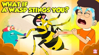are wasp stings dangerous what if a wasp stings you how to treat a wasp sting dr binocs