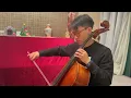 紅豆 Red Bean - 方大同 Khalil Fong，王菲  大提琴 (cello cover)