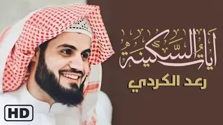 آيات السكينة لدفع القلق والهموم القارئ رعد الكردي Ayat Al Sakina Holy Quran Raad Al Kurdi 