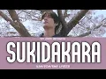 Download Lagu BEOMGYU 'Sukidakara' [COVER [ORIGINAL SONG: YUIKA] (Kan/Rom/Eng Lyrics)