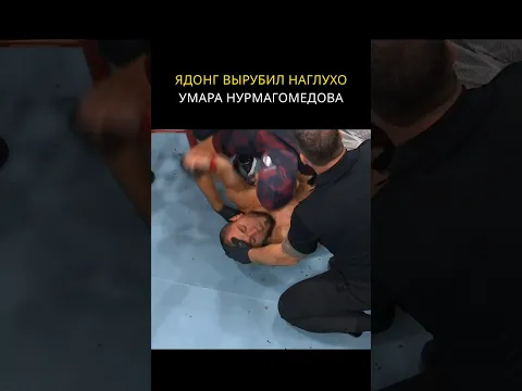 Жесть 😰 Умар проиграл нокаутом / Ядонг наглухо вырубил Нурмагомедова