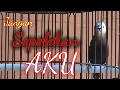 Emprit kaji GACOR full ISIAN PANJANG
