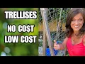 5 Easy Trellises No Cost