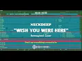 NECKDEEP - WISH YOU WERE HERE | Reimagined Cover by Antaswara