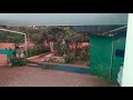 Twilight - Nature - Music From Temple
