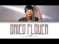 Yuuri 「ドライフラワー」 (Dried Flower) Lyrics  | 1 HOUR TOP 50 日本