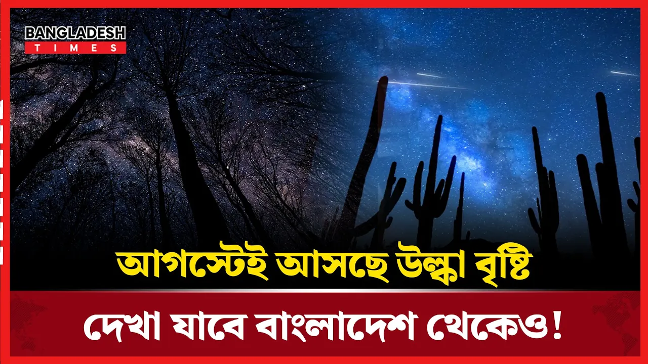 বাংলাদেশ থেকেও দেখা যাবে উল্কা বৃষ্টি