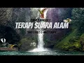 Download Lagu Terapi Suara Alam Untuk Semua Burung Macet Bunyi