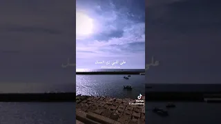 عنها المركب ما مشيت 