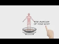 bellicon Rebounding Explained Science and Effects