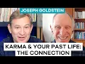 Karma and Past Life Rebirth Buddhism Joseph Goldstein and Dan Harris on Ten Percent Happier