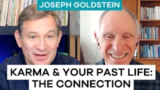 Karma and Past Life Rebirth Buddhism Joseph Goldstein and Dan Harris on Ten Percent Happier