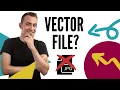 What is a Vector File