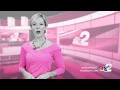 Komen Race 2017 Lisa Spooner 30