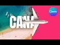 Travel Ad Intro Canva Text Reveal Effect Animation Tutorial Canva Editing