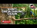 Download Lagu 🔴 Masteran Kumplit Kompilasi Kunti Greja Tarung dan Cililin Materi Cucak Cungkok Gacor vs Srigunting