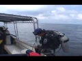 Download Lagu Sipadan Kapalai Dive Resort - Sipada Island - Barracuda Pt